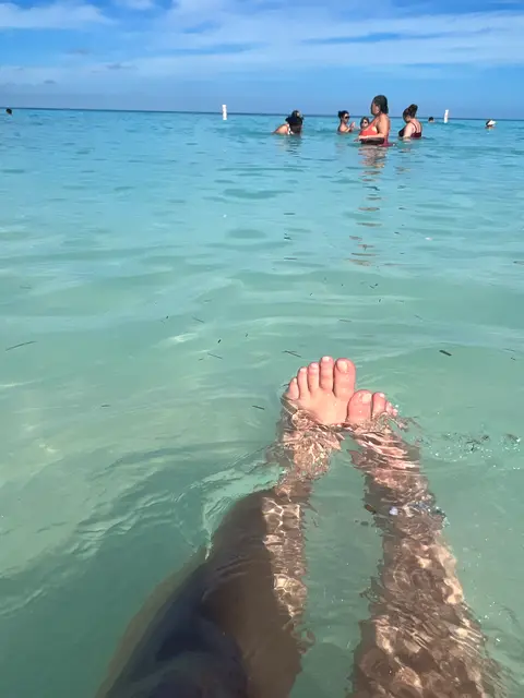 Little piggies